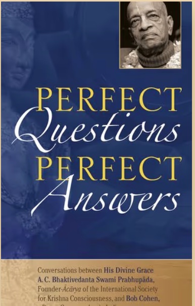 Cover of Perfect Questions, Perfect Answers